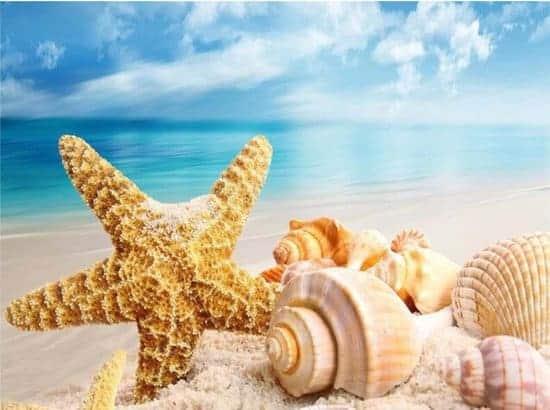 Diamantmaling af skaller på stranden – 40x50 cm – SEOS Shop ®