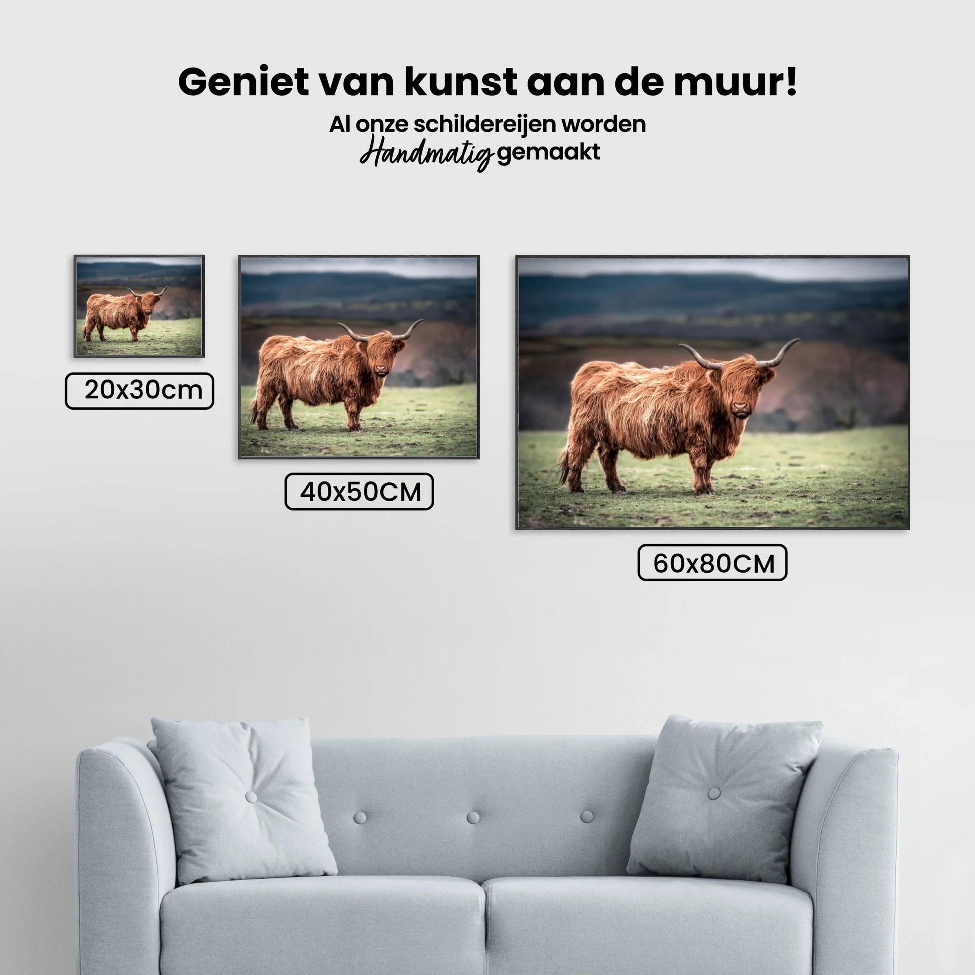 Diamantmaleri Skotsk højlander - Skotsk højlander græsser i det sydlige Wales' landskab - SEOS Shop ®