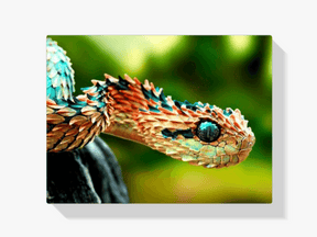 Diamantmalingslange – SEOS Shop ®