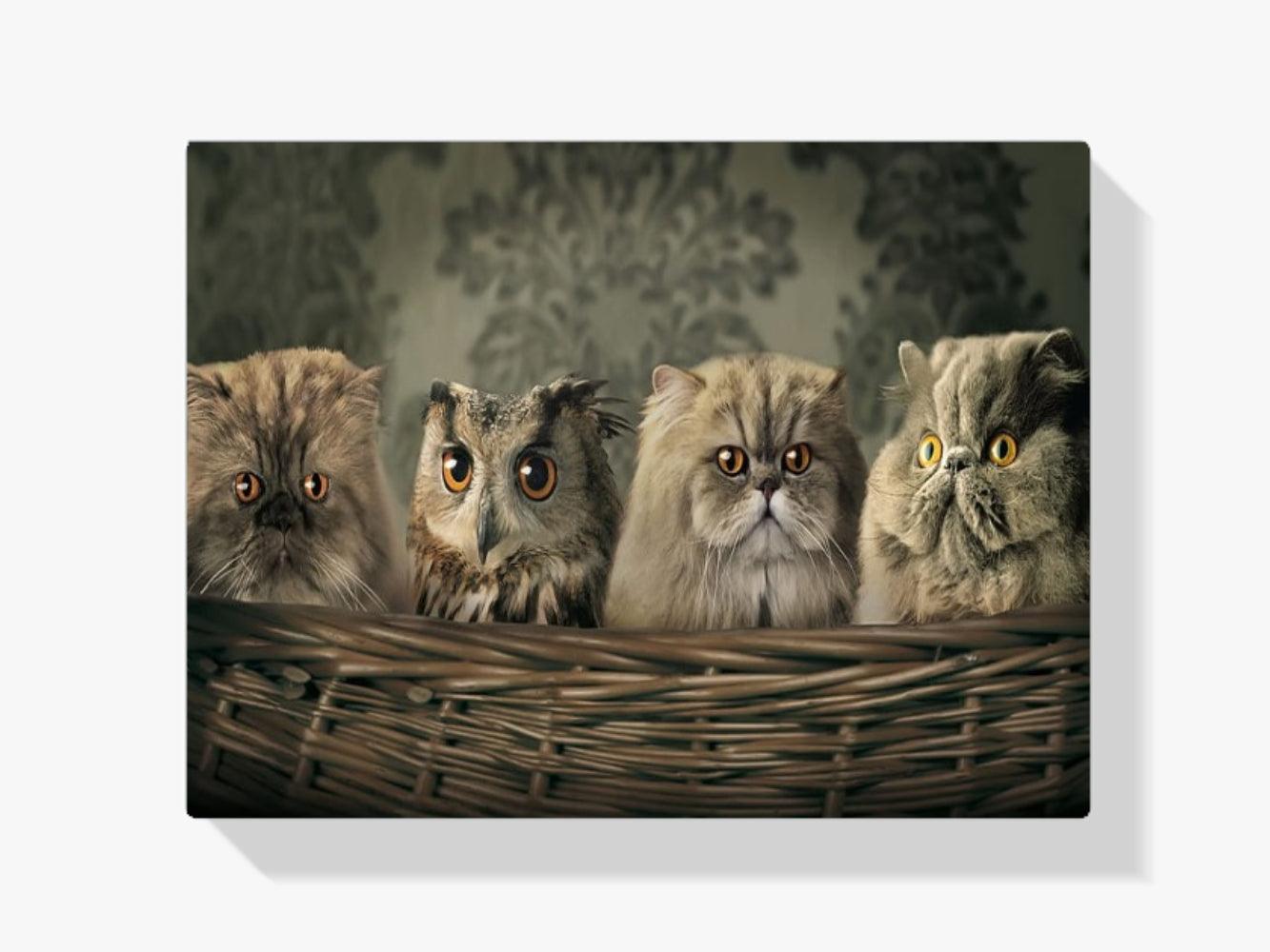 Diamantmaling Ugle og katte i kurv - SEOS Shop ®