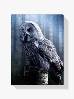 Diamantmaling Ugle på et træ - SEOS Shop ®