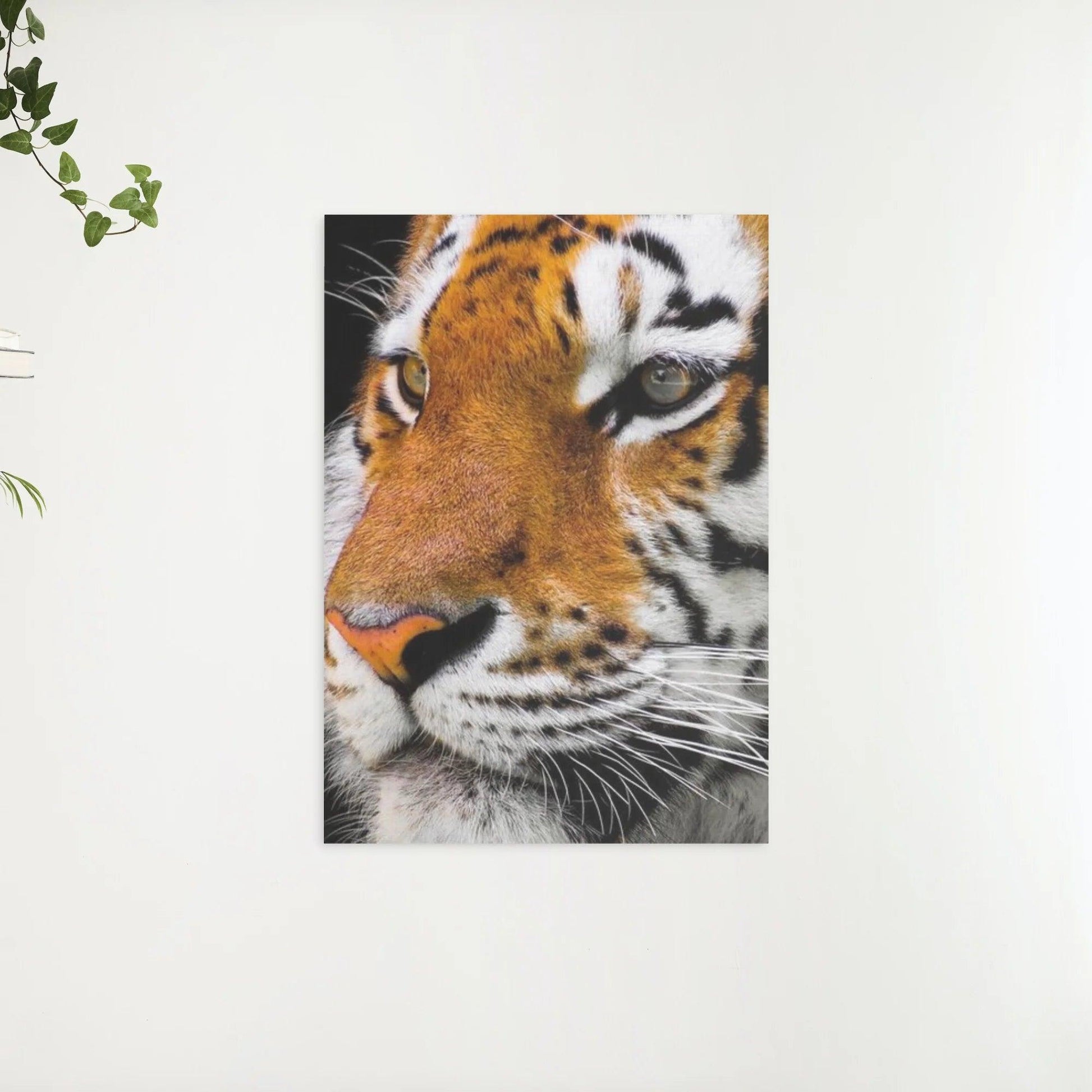 Diamantmaling Voksen Tiger - SEOS Shop ®