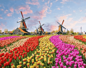 Diamantmaling Vindmøller med hollandske tulipaner - SEOS Shop ®