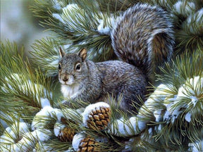 Diamantmaleri Vinter Sød Egern - SEOS Shop ®