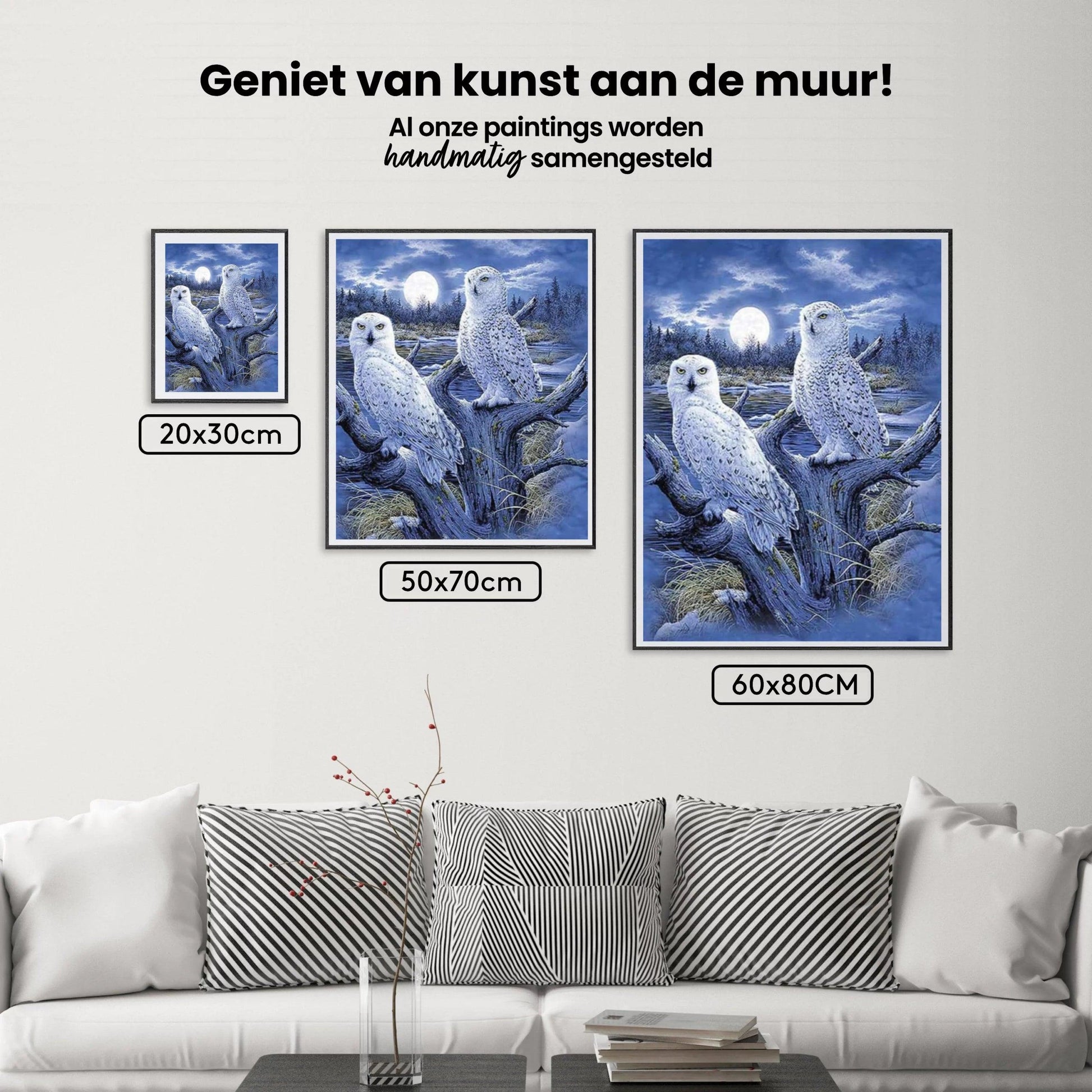 Diamantmaling Vinterugler - SEOS Shop ®