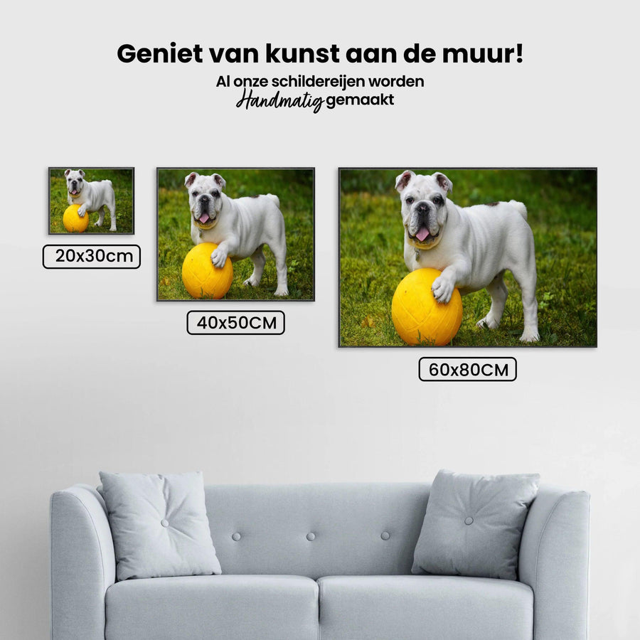 Diamantmaling Hvid bulldog med bold - SEOS Shop ®
