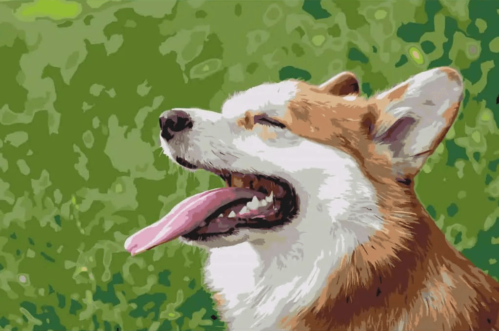 Diamantmaling - Corgi - SEOS®