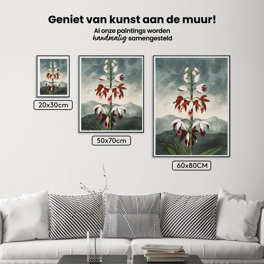 Diamantmaleri - Den kinesiske Limodoron - SEOS Shop ®