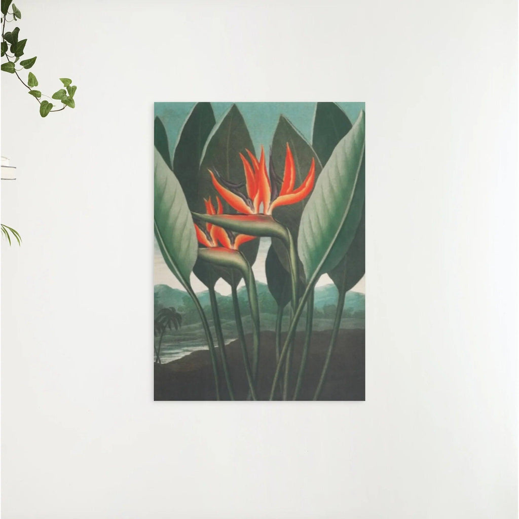Diamantmaleri - Dronningplanten - SEOS Shop ®