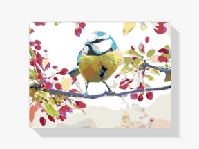 Diamantmaling - Fuglen - SEOS®