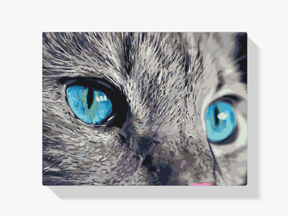 Diamantmaling - Et gennemtrængende blik - SEOS®