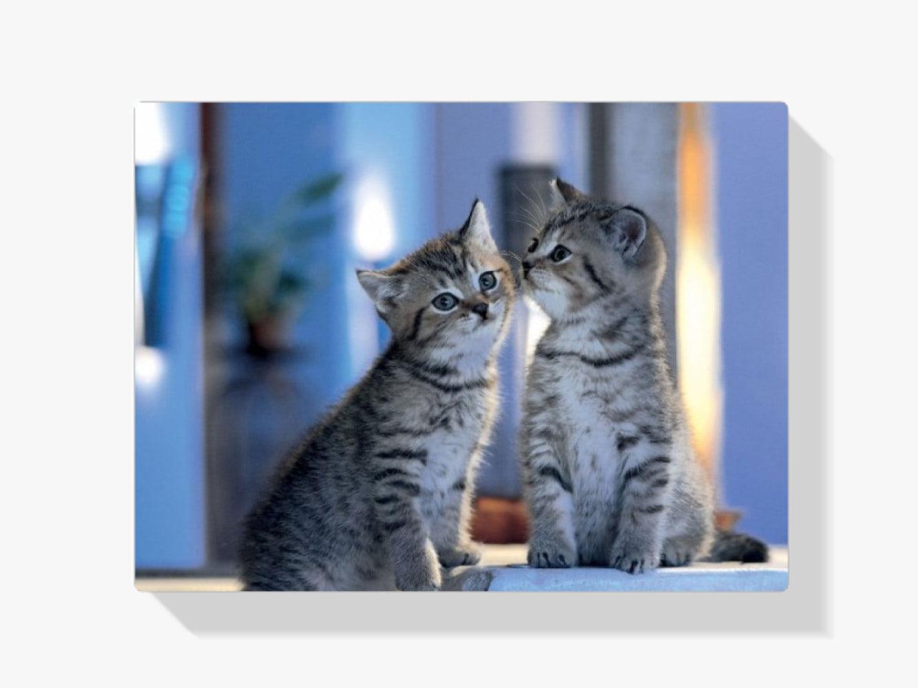 Diamantmaling - Familiekatte - SEOS®