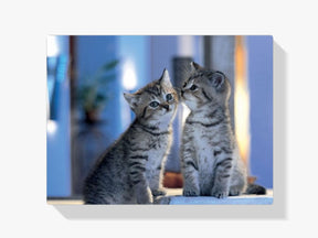 Diamantmaling - Familiekatte - SEOS®