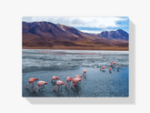 Diamantmaleri - Flamingoer i Bolivia - SEOS Shop ®