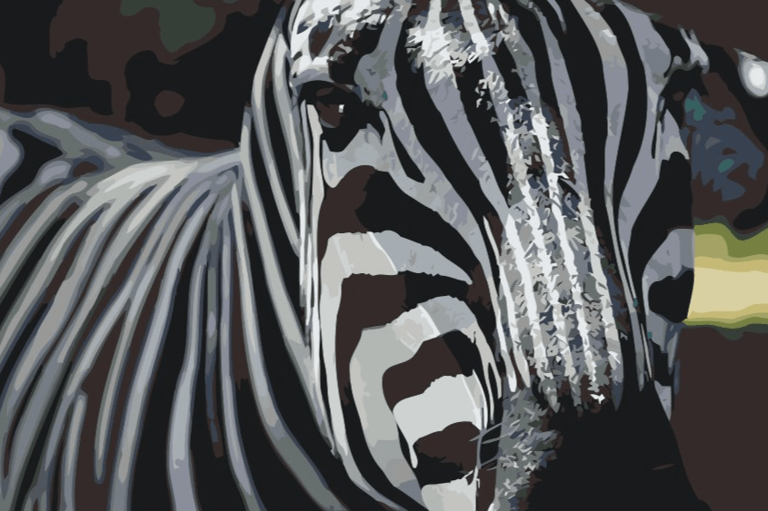 Diamantmaling - Fokus på zebra - SEOS®