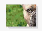 Diamantmaleri - Fransk Bulldog - SEOS®