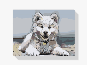 Diamantmaling - Glad pels - SEOS®