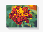 Diamantmaling - Morgenfrue - SEOS Shop ®