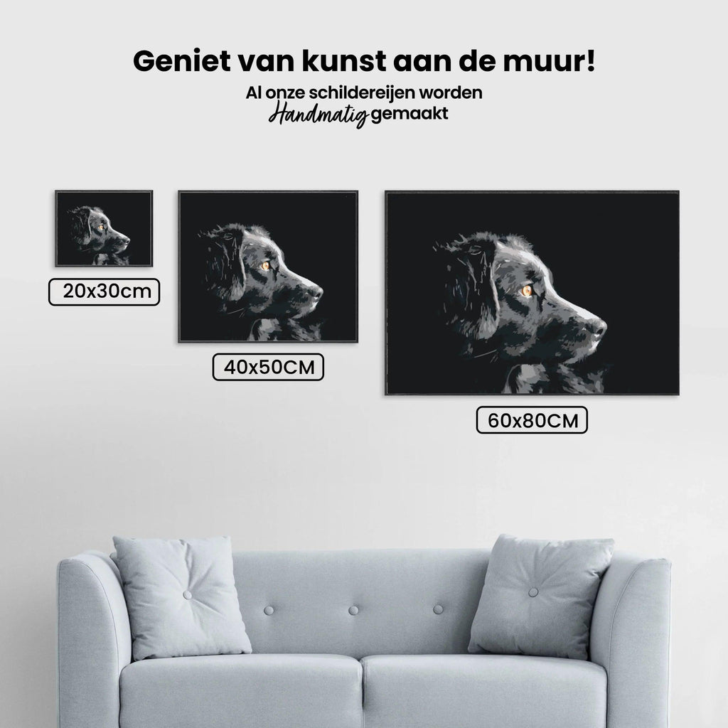 Diamantmaling - Hundens udseende - SEOS®