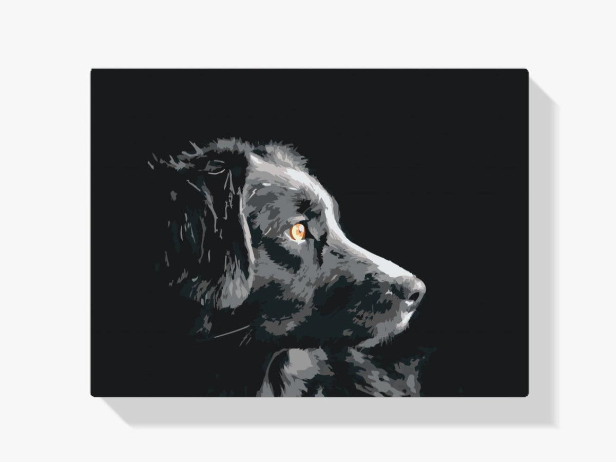 Diamantmaling - Hundens udseende - SEOS®