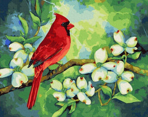 Diamantmaling - Kardinal - SEOS®