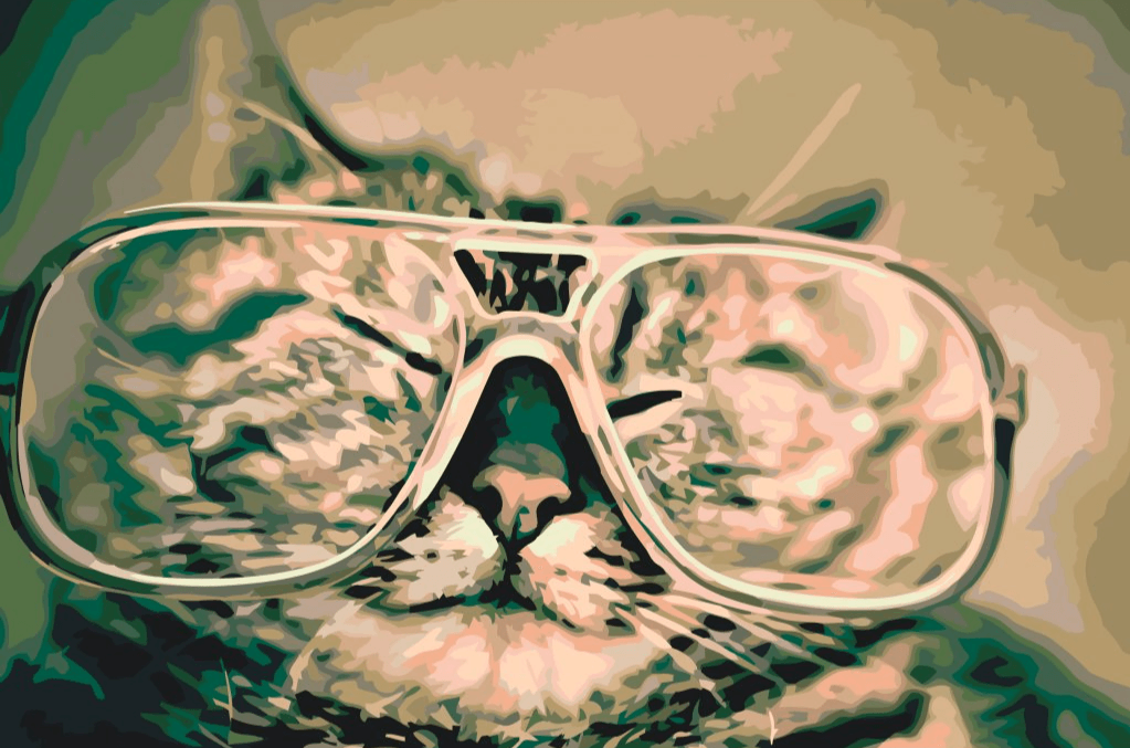 Diamantmaling - Kat med briller - SEOS®