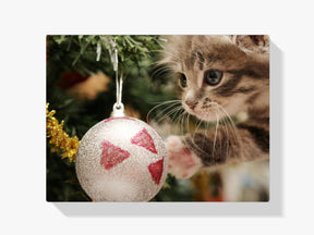 Diamantmaleri - Kat med julekugle - SEOS®