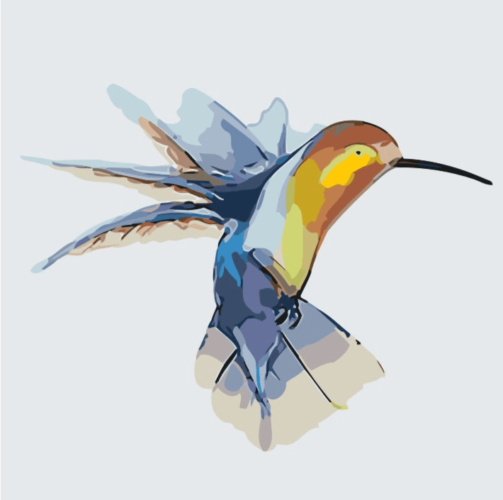 Diamantmaling - Kolibri - SEOS®