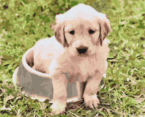 Diamantmaleri - Labrador i en skål - SEOS®