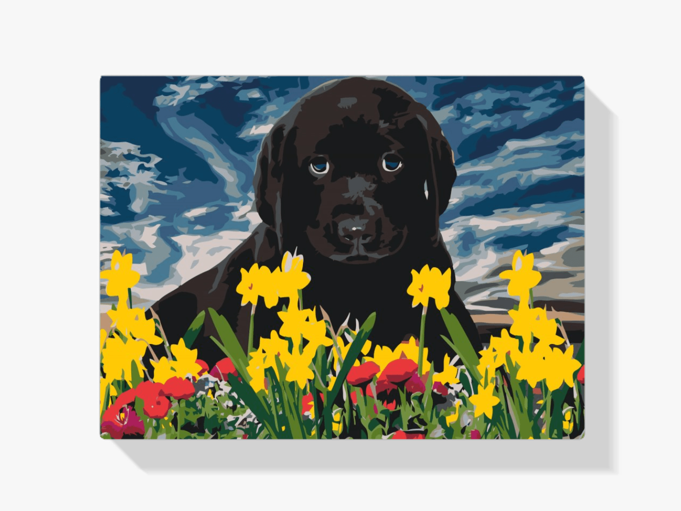 Diamantmaleri - Labrador hvalp - SEOS®