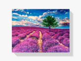 Diamantmaleri - Lavendelmarker i Provence - SEOS Shop ®