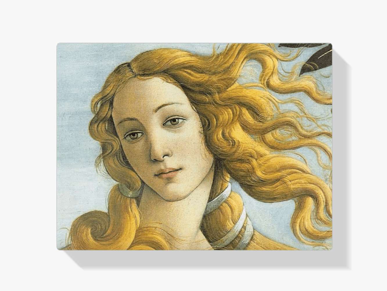 Diamantmaleri - Venus - SEOS Shop ®
