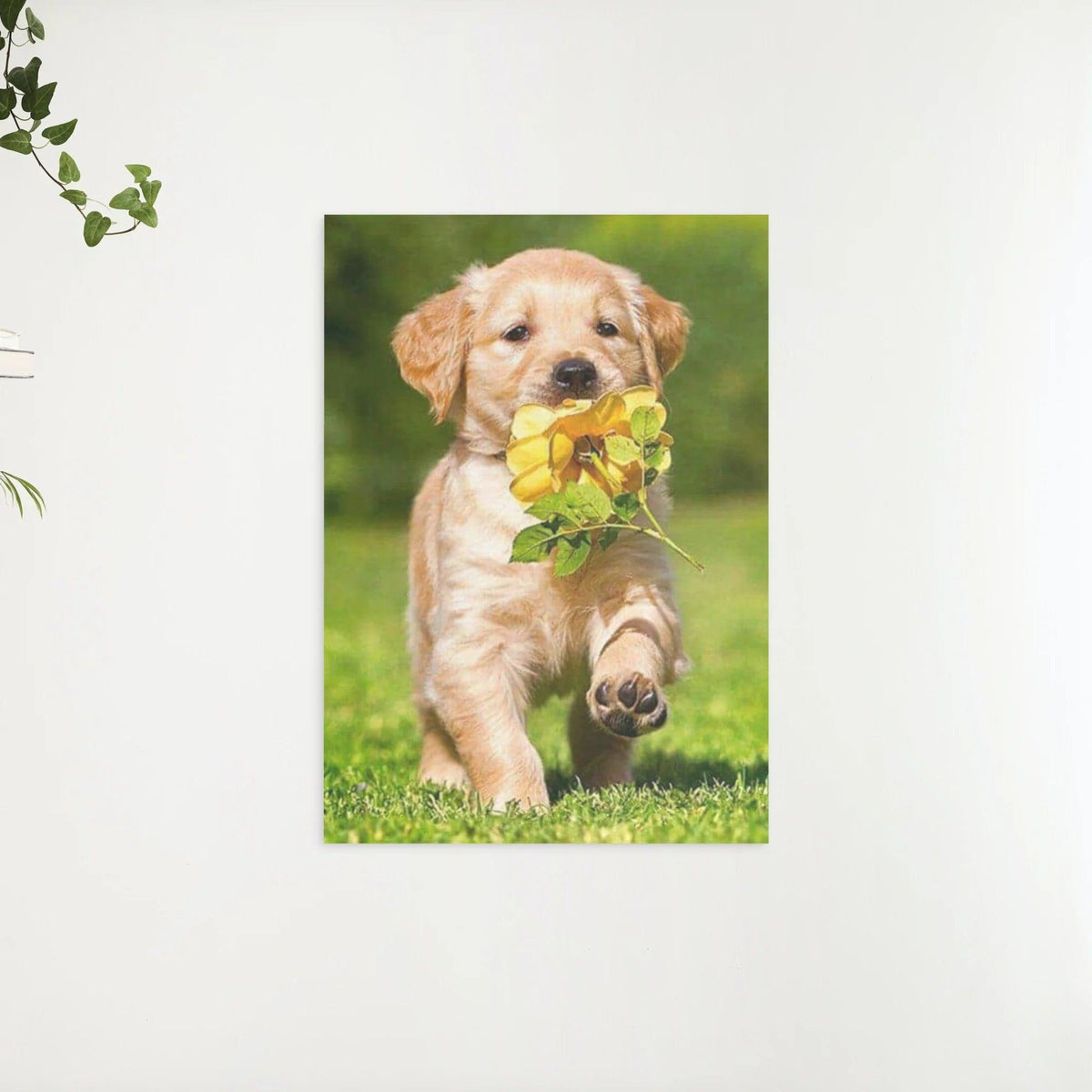 Diamantmaling Labrador hvalp med blomst - Komplet - SEOS Shop®