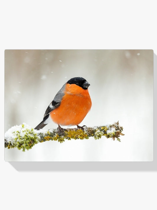 Diamantmaling - Stolt