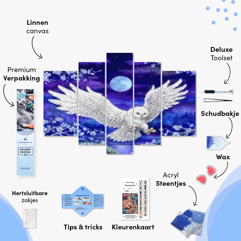 Diamantmaling Ugle under Månen 5-delt - SEOS Shop ®