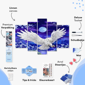 Diamantmaling Ugle under Månen 5-delt - SEOS Shop ®