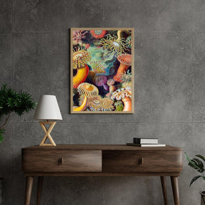 Diamantmaling - Aktinier