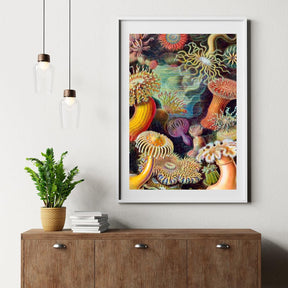 Diamantmaling - Aktinier