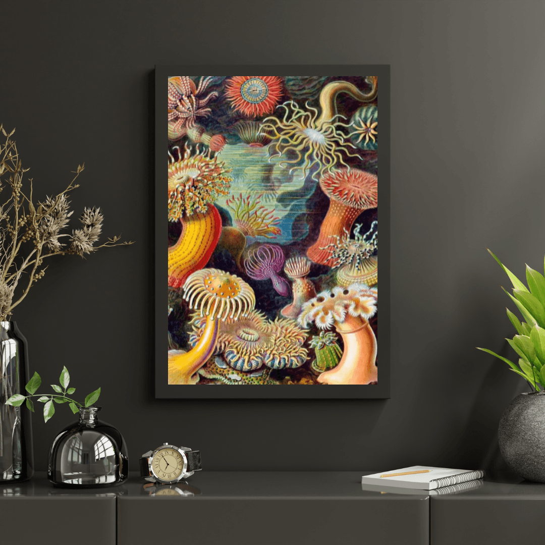 Diamantmaling - Aktinier