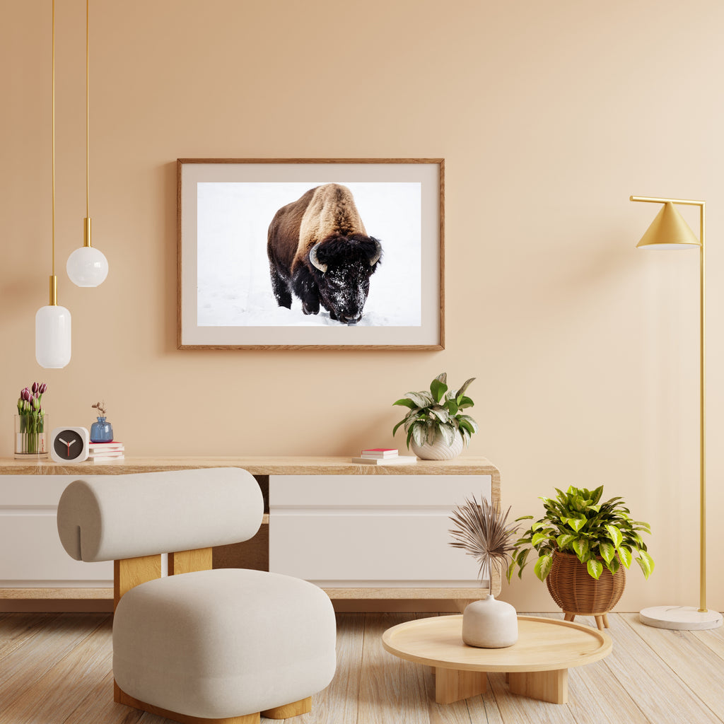 Diamantmaleri - Bison i sneen