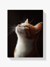 Diamantmaleri - Stirrende Kat