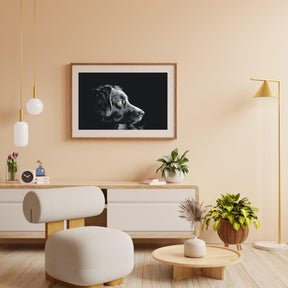 Diamantmaling - Hundens udseende - SEOS®