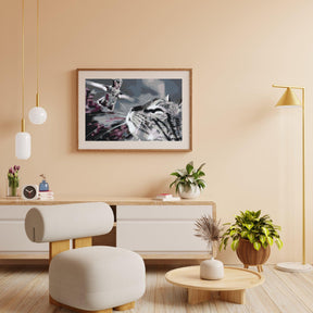 Diamantmaling - Kat og Fugl - SEOS®