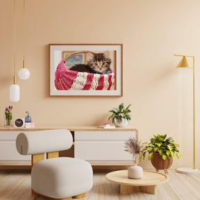 Diamantmaling - Kat i kurven - SEOS®