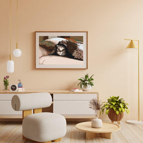 Diamantmaling - Kat under puden - SEOS®