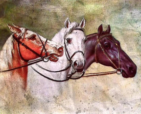 Diamantmaleri Majestætiske Tre Heste