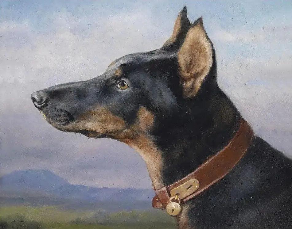 Diamantmaleri - Portræt af en dobermann