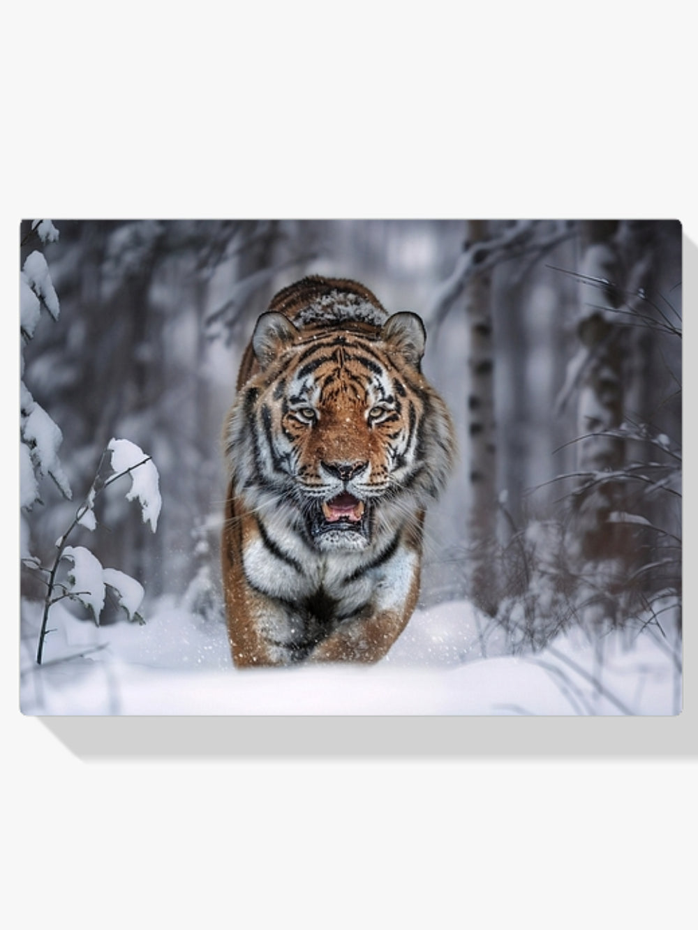 Diamantmaleri - Snetiger
