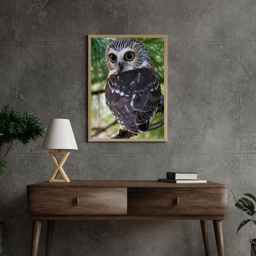 Diamantmaleri Gule Øjne Ugle - SEOS Shop ®