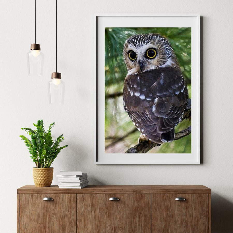 Diamantmaleri Gule Øjne Ugle - SEOS Shop ®